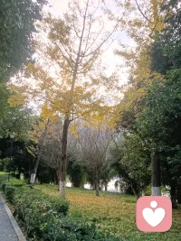  情绪内耗、压力太大、没人倾诉？来这里，我当你的专属树洞！不评判、不打断、全程保密，认真听你说每一句话，帮你疏解情绪。