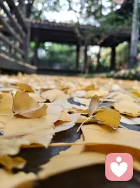 人这辈子，
最傻的事，
就是跟不值得的人较劲，
跟留不住的人纠缠，
跟已经发生的事内耗。
 
你要明白：
不是所有人，
都配得上你的真诚和善良。
不是所有事，
都值得你反复回忆和难过。
 
心这东西很贵，
给对了人，就是无价；
给错了人，一文不值。
 
往后余生，
不讨好谁，不勉强谁，
不解释，不纠缠，不遗憾。
把心情留给懂你的人，
把真心留给珍惜你的人。
 
好好爱自己，
才是终身浪漫的开始。配图