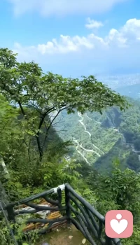 今天是2月2龙抬头，从此刻开始，过往已过，学会放下，迎接新生活，开启全新的自己吧！