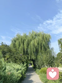 当你觉得被情绪裹挟的透不过气来的时候，那就找个人痛痛快快的清理一下情绪，再重新出发