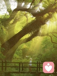 一个人的情绪承载力都是有限的，积压到一定程度就需要解压释放，就像深海中的鲸鱼久潜必浮出换气，因此，记得要适时走出去，让阳光沐浴心情、汲取大自然的力量，实现心灵成长，活出轻松愉悦！配图