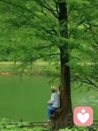 情绪没有对错，难过也不需要独自硬扛。你可以脆弱，也可以放心倾诉，总有人愿意听您倾诉。
不必强迫自己时刻乐观，允许自己短暂低落，慢慢收拾好心情，再从容地往前走就好。配图