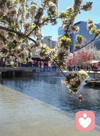 6月最后一天，马上开启全新的一月，7月 你好！