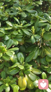 生活偶尔会让人疲惫.焦虑，不知所措，但没关系，你已经很努力了。
允许自己慢一点，允许情绪有出口，好好照顾自己，你值得被温柔以待。
愿我们能在平凡的日子里，慢慢自愈，慢慢发光！配图