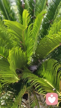 慢慢来吧，
允许自己不完美，
允许情绪有起伏，
你已经很努力了。配图