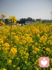 春暖好开
好事从头再来
愿有缘的朋友分享您的故事
我在这里耐心的倾听您的述说配图