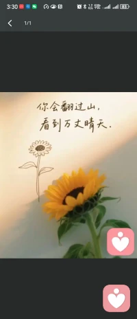 你是否常常觉得，心像漂泊的孤舟，在喧嚣里找不到停靠的岸；
情绪像散落的碎片，拼不回完整的自己，连呼吸都带着疲惫。
 
不必强迫自己坚强，不用假装一切都好，
那些无人诉说的委屈、深夜翻涌的迷茫、无处安放的焦虑，
都值得被温柔接住，被认真倾听。
 
我是你的倾听者，不带评判，不催答案，
只做你灵魂的避风港，安静承接你的所有情绪。配图