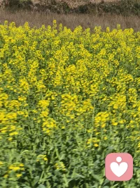 有八个弟弟妹妹，从小就带他们了，特别喜欢小孩，想做你们的知心姐姐，来着我倾诉吧！配图