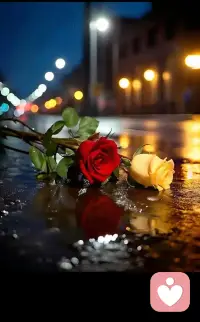 女人的撒娇和发飙，源自同一个心理机制。从心理学角度看，这两件事指向同一个东西:安全感。她在外面可以独立坚强，独当一面，只有在他面前把软肋露出来，这通常意味着极大的信任和情感上的依赖。发飙是受了太多委屈，强硬是等不到依靠。独立是不敢再对他有任何的期待。