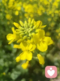 后来才懂，人和人走散真的太容易了。一天不联系，一周不联系，一个月不联系，不知不觉，我们就成了过去。有些告别没有仪式，最后一面，早就见过了。