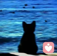 开不开心
快不快乐
重要嘛
谁又在意呢配图