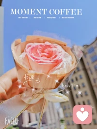 春有约，花不误，年年岁岁不相负配图