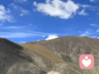 井鱼不知渊，只在方寸间