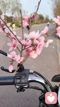 不必光芒万丈，但始终温暖有光。
心有山海，静而不争，自在安然！配图