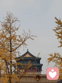 不必光芒万丈，但始终温暖有光。
心有山海，静而不争，自在安然！配图