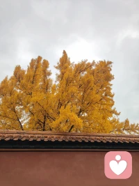 不必光芒万丈，但始终温暖有光。
心有山海，静而不争，自在安然！配图