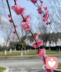 春天的阳光如细碎的金子，洒在大地上温暖了万物，也愿我们每个人生活如春风般温暖