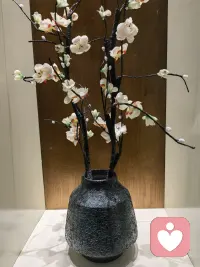 如果你正迷茫，徘徊，请记得来找我配图