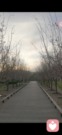 孤独的人之所以喜欢孤独，是想捍卫自己清醒的意识，想守住自己清明的边界，确保自己的主权不被腐蚀。孤独于他，是氧气。它之所以完整，是因为孤独。