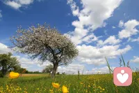 生活在于释放压力，而不是独自内耗配图