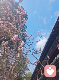 很多人以为，坚强就是不哭、不闹、不示弱。
其实真正的强大，是允许自己崩溃，也懂得把自己慢慢拼回来。
 
你不用一直懂事，不用总做别人的光。
在我这里，你可以放心脆弱、放心难过、放心说“我真的撑不住了”。配图