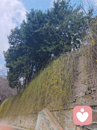 很多伤痛没法治愈，但有人倾听，就已经是一种救赎。配图