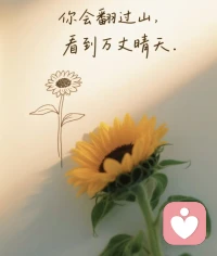你说.我听！配图