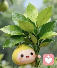 很理解现在大多数生活工作在底层的感受，无力、无奈、无赖。