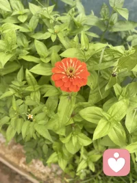 慢慢来，谁都有一段沉默扎根的时光。