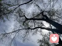 山似玉，玉如君，相看一笑温！