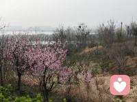 从来没有谁，生来就不配被偏爱。
自卑的时候、难过的时候、觉得自己不起眼的时候，
也别忘记好好心疼自己。
接纳所有不完美，拥抱所有小遗憾，
众生平等，温柔可期，每个人，都值得稳稳的幸福，满满的爱❤️