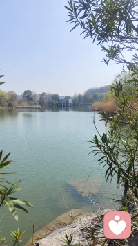 情绪从来不是需要被压制的洪水，而是我们感知自我最直接的信号。很多人误以为情绪管理是“消灭负面情绪”，实则不然，它的核心是避免被情绪裹挟做出冲动决策，学会和所有情绪平和共处。

你可以试着做自己情绪的“旁观者”：负面情绪涌上来时别急着反应，先花30秒判断它的来源——是被冒犯的愤怒，还是未被满足的期待，又或者只是疲惫带来的烦躁。当你能精准定位情绪的源头，它的攻击性就已经消减了大半。

同时也要给情绪找个安全的出口：不必硬撑着“做情绪稳定的大人”，可以去无人的地方大喊几声，或者把烦恼写在纸上撕碎扔掉，哪怕对着空房间吐槽十分钟也没关系。情绪只有流动起来，才不会在心里积压成暗疾。那些能平稳驾驭情绪的人，从来不是没有喜怒哀乐，而是他们早就明白，情绪只是工具，从来不该成为人生的主人。配图