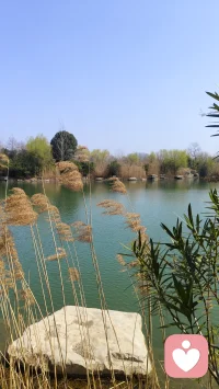 心如止水，是历经波澜后的从容自洽。当看透得失不过一场轮回，聚散皆是人生常态，便不再执着于结果的对错。像深秋的湖面，任落叶飘零，涟漪散尽后依然清澈如初。看淡不是冷漠，而是懂得把精力留给值得的人与事，在喧嚣中守住内心的宁静。配图