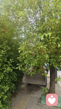 追求那份在快节奏的生活里，我们总被各种声音裹挟，心也跟着浮躁起来。追求宁静，其实是给心灵松绑。

我曾为工作上的失误焦虑失眠，为生活里的琐碎争吵不休，内心像被搅浑的湖水，满是浑浊与不安。直到偶然走进山林，听着鸟鸣、溪流声，看着树叶在风中轻摇，那一刻，心渐渐沉静。

后来我明白，宁静不在远方，而在内心。每天留半小时给自己，泡杯茶、读本书，或是静静发呆，屏蔽外界的喧嚣。当不再被无意义的烦恼纠缠，不再为得不到的东西患得患失，心便有了栖息之所。

宁静不是死寂，而是看透生活真相后，依然能温柔以待。它让我们在纷繁世界里，守住内心的清明，找到真正的自己。：配图