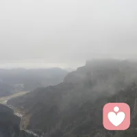 聊聊抑郁和焦虑，我们一起度过坎坷不平人生。抑郁往往是由于我们沉溺于过去无法改变的缺憾、伤痛或丧失，在反复的自我否定中消磨了当下的生命力；而焦虑则是对尚未发生的未来过度预判，试图用当下的精神内耗去解决明天的未知。

本质上，这两者都是由于意识脱离了“现在”这个唯一的真实维度。过去已成定格的幻象，未来是无数种可能的概率，唯有此时此刻的呼吸与触碰才是你能掌控的全部。当你感到沉重或慌乱时，试着把注意力拉回到手边的一杯水、一页书，或是脚下坚实的土地。

接纳过去的遗憾，放下对未来的剧透。当你真正专注并深耕于此时此刻，那些由时间错位带来的精神负担，便会随之消散。

和我沟通交流，带给你惊喜，我在心灵深处等你配图