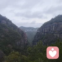 浅谈恋母情结，恋母情结并非贬义的枷锁，而是个体早期情感依恋的心理投射。从心理分析视角看，母亲是生命中第一个提供无条件接纳与保护的对象，这种深刻的安全感会潜移默化地塑造我们未来的择偶观与亲密关系模式。

如果这种依恋在成年后演变为无法切断的脐带，导致无法独立做出人生决策，那便是成长的停滞。健康的成长并非否定母爱，而是通过心理断乳，将这种对他人的依赖转化为内在的自我支撑力量。我们需要学会从母亲的怀抱中走出来，去探索更广阔、更多元的爱，建立属于自己的边界感。

接纳这份情感的源头，但要学会在精神上独立行走。当你能以独立人格与世界博弈时，那份原始的依恋才真正完成了它的养育使命。配图