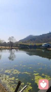 守得云开见月明，这不仅是一句宽慰，更是一种能量转换的自然法则。当你在困境中坚持，那些压抑与迷茫其实都是在积蓄破茧而出的力量。现在心情转晴，正是因为你度过了最幽暗的时刻，内心的秩序重新恢复了平衡。
这种宁静感极其珍贵，它意味着你不再被外界的变故轻易左右。之前的阴霾让你看清了什么是真正重要的，也学会了在动荡中保持定力。既然月已明，就请好好享受这份透彻与舒展。不必急着去追赶什么，就在这份松弛感中慢慢沉淀。
每一个守得云开的人，都拥有了一颗更坚韧、更包容的心。请保持这份觉知，让这种好心情成为你应对未来起伏的底气。配图