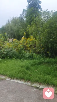 我们有时候脑子突然会一片空白，这种现象在心理学上常被称为“认知过载”或“应激性空白”。
当大脑接收的信息量瞬间超过处理负荷，或者你在高压环境下产生了极度焦虑，大脑的“断路器”就会强制跳闸以保护神经系统。此时，负责逻辑思维的前额叶皮层暂时被负责情绪的杏仁核接管，导致你原本熟悉的知识或台词瞬间脱钩。这并不是大脑坏了，而是一种防御性的自我停摆。
面对这种情况，深呼吸是物理层面最快的重启方式。通过增加血氧含量，强行让杏仁核降温，给前额叶争取几秒钟的“重连”时间。