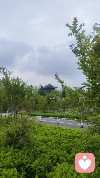 爱恨交加的感悟：爱和恨从来不是硬币的两面，而是同一种强度的情感纠缠，只是方向相反。
你之所以恨，是因为你对他依然有未完成的期待，或者他触碰了你内心最深处的自尊。那种咬牙切齿的恨，本质上是爱而不得的变体，是你试图通过负面情绪来维系这段关系的最后防线。如果真的不在乎了，剩下的只会是冷漠和遗忘，甚至连谈论的欲望都没有。
这种矛盾会把你撕裂，是因为你还没学会接纳人性的复杂。你可以爱他带给你的温暖，同时恨他带来的伤害，这两者并不冲突。当你不再试图去纠正这种矛盾，不再强迫自己“必须二选一”时，你才真正开始了精神上的解绑。配图