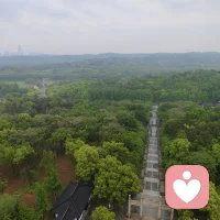 向无聊和解，不是向懒惰妥协，而是与生命的常态握手言和。我们不必逼自己时刻保持亢奋，也不用为偶尔的发呆、无所事事而焦虑自责。那些看似“浪费”的时光，恰恰是给紧绷的神经留白。
  • 接纳松弛：允许自己在周末瘫在沙发上看一下午老电影，不用因为没完成学习任务而愧疚。
  • 赋予意义：把无聊当成自我观察的契机，在发呆时梳理一周的情绪，让混沌的思绪慢慢沉淀。
  • 主动切换：在持续性松弛后，用轻度行动打破沉闷，比如下楼散步、做一顿简单的晚饭，而非强迫自己立刻投入高强度的工作。配图