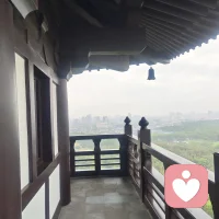 无法说出口情绪，试着说出口，不必逼自己立刻卸下情绪盔甲，哪怕只说半句真心话，也是和解的开始。先从具体感受说起，不说笼统的“我很难过”，而是说“我刚才有点委屈”“我很担心会搞砸”。
  • 降低门槛：用“我觉得”开头，把陈述句换成分享的语气。
  • 接受停顿：不用急于说完，沉默时的呼吸也是真诚的一部分。
  • 允许反复：如果说出口后还是觉得不安，可以告诉对方“我还没准备好细说，但想让你知道我不太好”