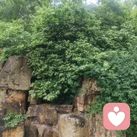 回避型人格怎么赢得爱情，回避型人格赢得爱情的关键，在于将“退缩”转化为“节奏感”。你不需要强迫自己变得热情似火，而是要学会诚实地标注边界。
在关系中，与其在感到压迫时无声消失，不如提前给对方一份“说明书”。直接告诉对方：“我需要一点独处的时间来消化情绪，这不代表我不爱你。”这种透明度能消除对方的猜疑，将原本的冷战转化为良性的空间互换。
同时，发挥你观察力敏锐、客观理性的优势，在对方最需要实际支持而非情绪共鸣时精准出手。稳定的行动力往往比口头的热烈更能建立深层信任。