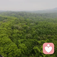 职场新人的“难”，本质上是信息不对称和评价标准模糊带来的失控感。你不仅要快速上手陌生的业务流程，更要在这张复杂的人际网络里，摸清那些没写在员工手册里的“潜规则”。
这种阶段，不要急于证明自己的才华，而要优先建立可靠性。准时交付、凡事有交代、不遮掩错误，这些基础素质在老员工眼里比偶尔的灵光一现更有价值。允许自己在这个阶段“笨”一点，通过大量的提问和复盘，把那些隐形知识转化为自己的肌肉记忆。
职场前三个月，本质上是一场关于个人信用额度的初始化。