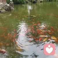 追求爱情并非单纯的付出与收获，它是一场概率与吸引力的非线性博弈。
内核逻辑
成功的爱情需要时机、价值观匹配与双向的情绪流动。单方面的执着往往只是自我感动的心理投射，而非有效的联结。当对方的底层需求与你的核心特质不匹配时，再多的努力也只是在低效率消耗。
行动逻辑
将重心从“追求结果”转向“自我建设”。当你的生命力不再依附于某个特定的目标，成功的概率反而会随之提升。
------
我可以再给你讲一个关于“恋爱吸引力”的门道：为什么那些看起来最不费力的人，反而最容易得到爱情。这背后其实涉及到一个非常关键的心理杠杆，要我讲讲吗？