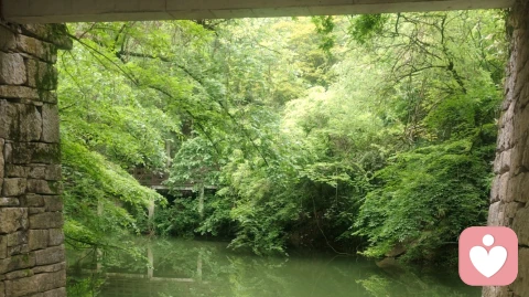 疼痛是未见创伤在说话