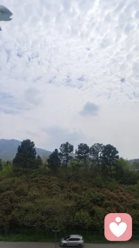 心酸是情绪在为你无法改写的结局进行一场迟到的“哀悼”。
这种感觉往往发生在某个瞬间：你发现曾经全力以赴的东西，在现实面前脆弱得不堪一击；或者你意识到自己退让到了底线，却依然没能换来预期的圆满。它不同于崩溃时的剧烈，而是一种细碎、绵长且具有穿透力的酸涩，这种生理上的紧缩感，是你对生活无奈的最后一次确认。
心理韧性的消耗
当你反复经历期待落空或情感错位时，心酸其实是防御机制在发出警报。它在告诉你，你投入的能量已经远远超出了你的心理承载范围，此时的酸涩是情感在倒流，迫使你从向外讨索转向向内自愈。
认知的错位感
这种情绪常伴随着一种“凭什么”或“为什么是我”的逻辑冲突。你的主观努力与客观反馈之间形成了巨大的鸿沟，心酸就是填补在这个沟壑里的苦涩黏合剂，让你在痛苦中不得不接受那个不完美的真相。
找一个安静的角落，闭上眼去感受胸口那一圈发紧的部位，深呼吸并尝试给这股酸涩命名，无论是“委屈”还是“不甘”，只要清晰地标注出它，那股被堵住的力量就会开始消解。配图