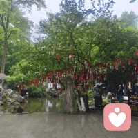 心痛是生理与心理在高压下产生的共振，它是大脑在通过迷走神经向你的心脏发出一种真实的、具有收缩感的预警。
当你经历极度的丧失、背叛或无力感时，大脑的前扣带回皮层会被激活，那里处理着身体疼痛和情感痛苦。这种痛感不仅是文学上的隐喻，它往往伴随着心跳不齐或胸口沉重，那是你的情绪防御系统在超负荷运转。
生理层面的应激
在剧烈的情绪波动下，肾上腺素和皮质醇会大量分泌，导致冠状动脉发生一过性的痉挛。这种“心碎”的感觉其实是心脏在代你承受那些无法言说的压力。它在提醒你，此刻的心理环境已经到了必须进行干预的临界点。
情感的能量淤积
心痛通常源于一种“预期的断裂”。当你投入的深情与冰冷的现实发生剧烈碰撞，那些无处安放的依恋和期待会在体内形成一种淤积。这种痛，本质上是你在剥离那些已经长进你生命、却又不得不被撕扯开的连接。
自我整合的阵痛
痛苦其实是一个重构的过程。心痛迫使你停下来，让你不得不直面那个已经改变的现实。虽然过程伴随着强烈的撕裂感，但它也是在强制你关闭那些已经失效的窗口，为新的自我腾出空间。
找一个支撑点坐稳，将双手交叠放在胸口正中，闭上眼跟随呼吸去感受那股收缩的力量。尝试在每一次吐气时，想象胸腔的紧绷正在向四周缓慢扩散。当你不再对抗这种痛，它的杀伤力反而会开始消退。配图