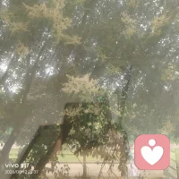 不能把幸福寄托在别人身上，把幸福寄托在别人身上，本质上是把人生的“定价权”让渡了出去。当你的喜怒哀乐取决于对方的一条消息、一个眼神或一次肯定时，你其实已经把自己活成了一座随时可能坍塌的空中楼阁。这种期待越高，底气就越薄，因为你无法控制他人的变心、疲惫或平庸。
真正的安宁来自于内心的“自给自足”。当你拥有独立的审美、专注的事业和抵御孤独的能力，别人对你好是锦上添花，对你不好也伤不到你的根基。你要做那个发光体，而不是借光的卫星。
从今天起，把花在试探和讨好上的精力，拿回来经营自己。当你不再向外求索，那种不再被任何人左右的掌控感，才是最高级的幸福。配图