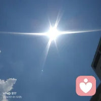 人生，就是一种糊涂，一份模糊，生命中的灿烂，人生中的辉煌，往往不期而遇，尽在偶遇。我们能做的就是尽心尽力，得到是一种幸运，得不到也是一种幸运。因为尽心，我们总有收获，因为尽力，我们总有进步。