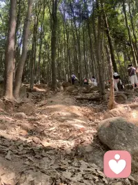 合理化是理智对情感的妥协。它用逻辑的外衣包裹起原始的欲望或自恋的创伤，使其能够通过超我的审查。”—— 乔治·范伦特配图